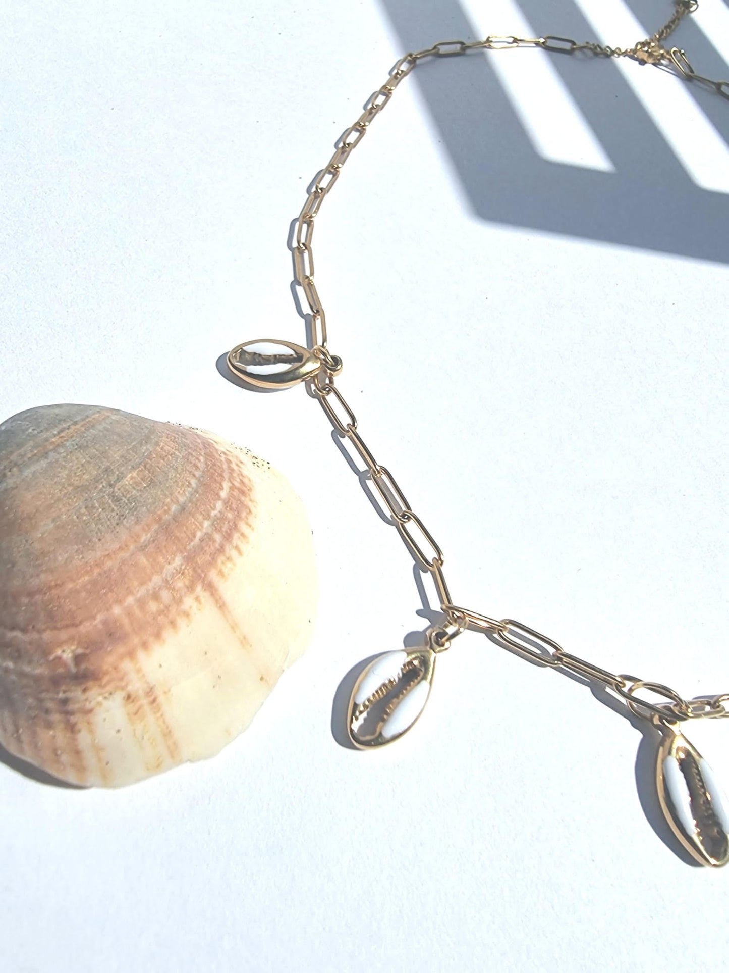 Ketting White Shell